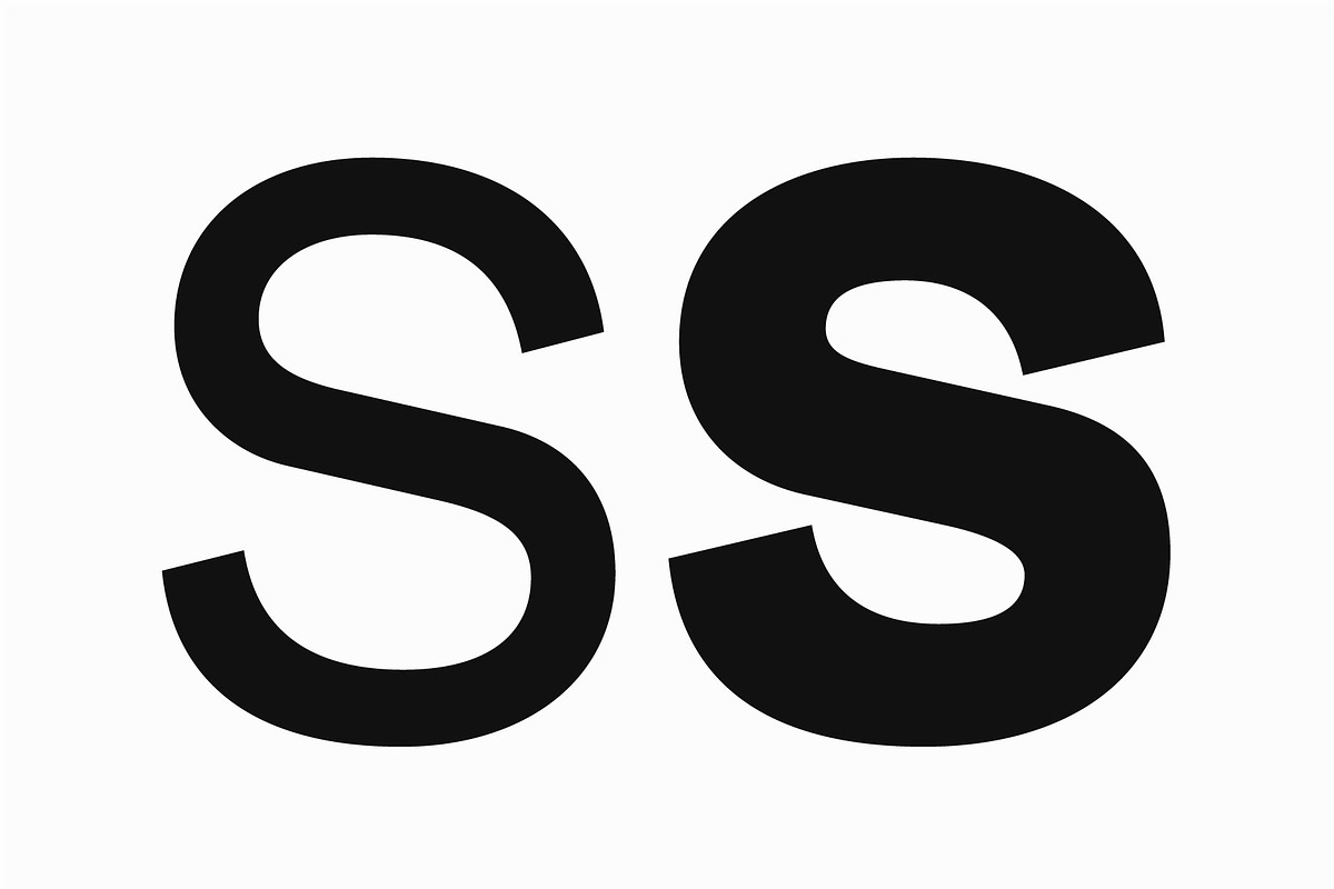 Godskin Grotesk %30 Off, a Sans Serif Font by Horizon Type Foundry (Photo 8 of 14)