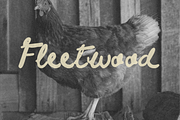 Fleetwood - A Handwritten Font, a Handwritten Font by Studio Madly (Thumbnail 6 of 9)