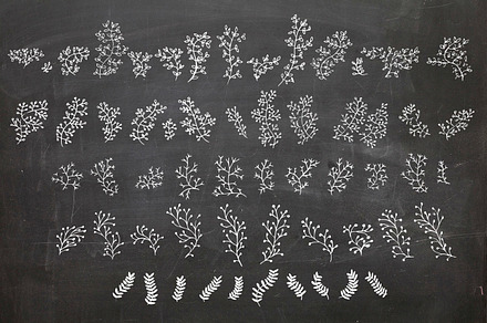Hand Drawn Plant Elements