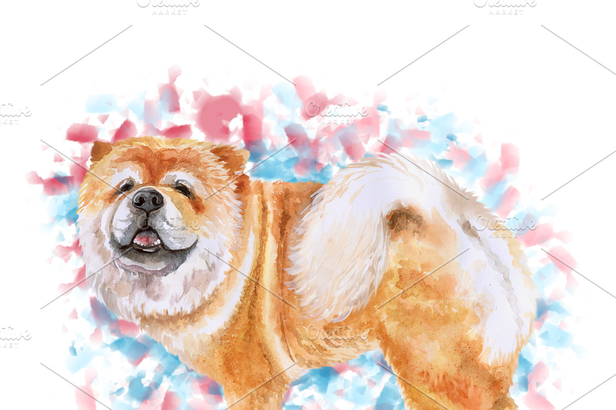 Watercolor Dogs Mega Big Bundle, an Illustration by Dneprstock (Photo 19 of 60)