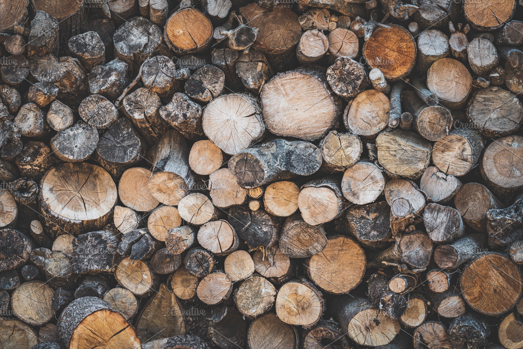 Stacked wood logs iii stock photo containing stacked wood logs and nature, a Nature Photo by Visual Motiv
