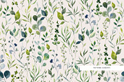 Eucalyptus. Watercolor collection., a Pattern Graphic by HannaStudio (Thumbnail 7 of 9)