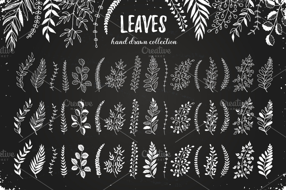 Leaves sketch style set, an Object Graphic by Olly Molly (Photo 3 of 4)