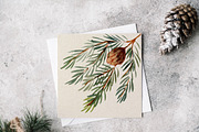 Pine Cones, hand painted clipart, a Seasonal Illustration by swiejko (Thumbnail 3 of 5)