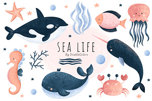 Sea life - whales clipart