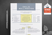 Resume/CV Bundle | 200+ for $29, a Resume Template by ResumeInventor (Thumbnail 129 of 207)