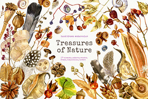 hand drawn natural elements
