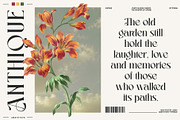 Amethyste Modern Stylish Serif Font, a Serif Font by Heinzel Std (Thumbnail 4 of 15)