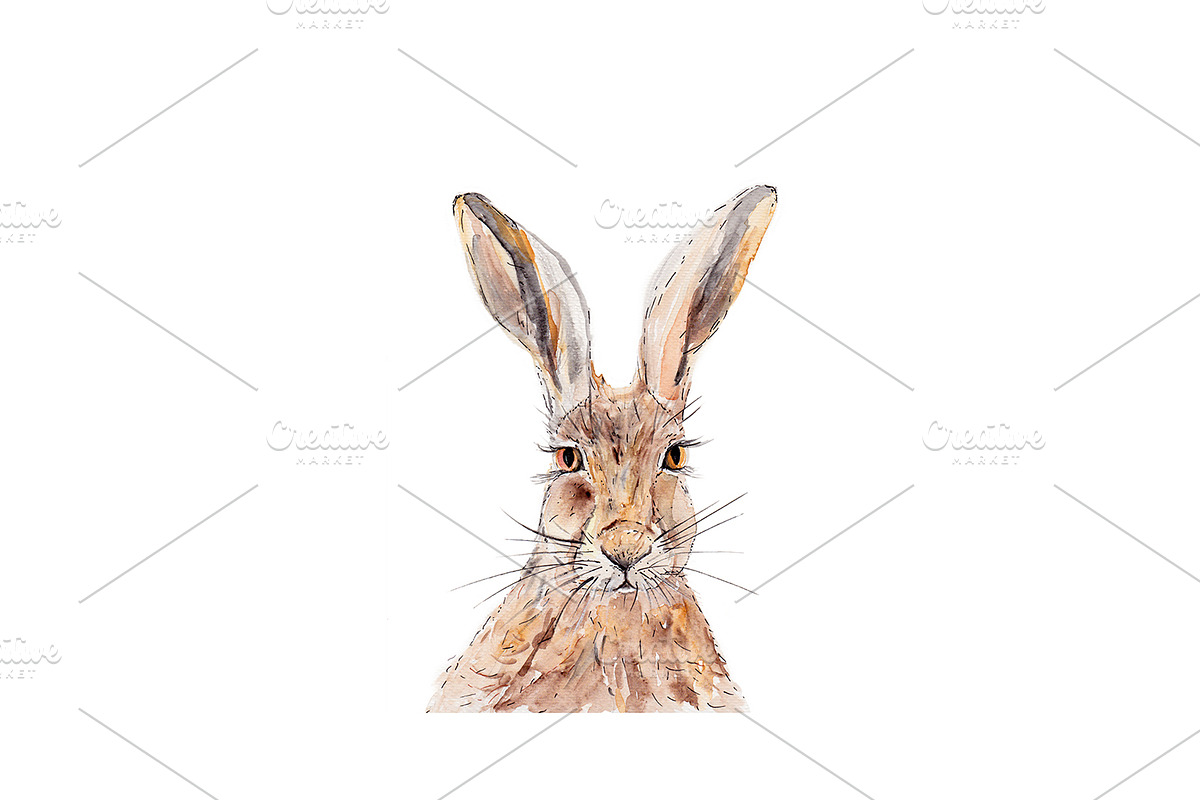 Watercolor Hare Clipart, an Animal Illustration by Foxery Digital