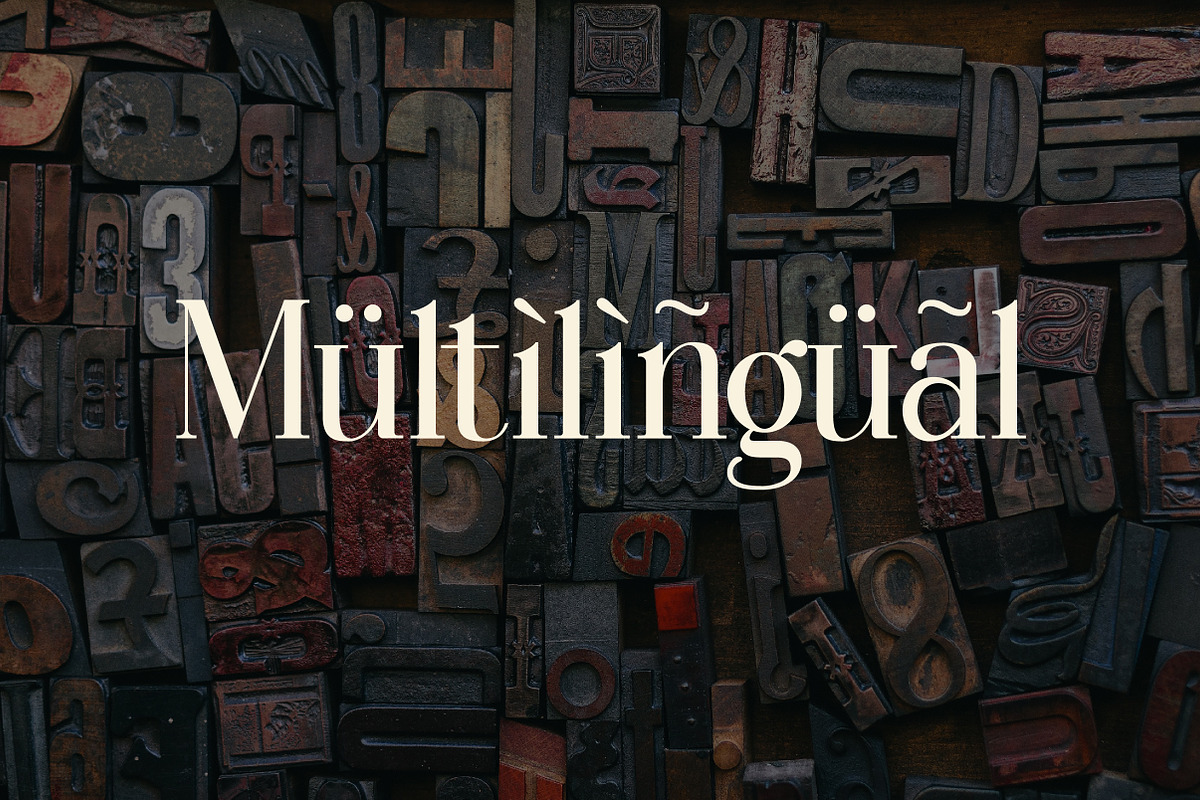 Wondernesia Nostalgic & Modern Serif, a Serif Font by Lettertype Studio (Photo 14 of 15)