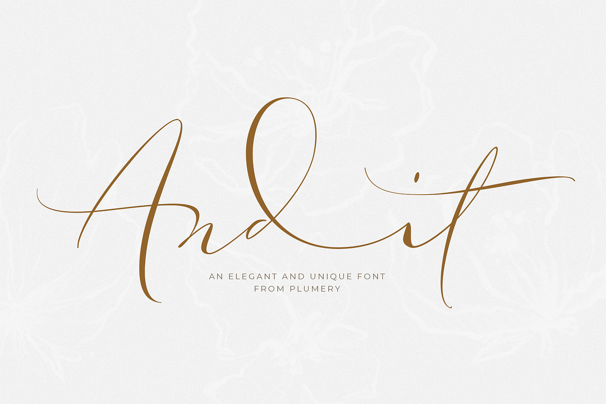 Andit, a Script Font by Papermode Co. (Photo 1 of 12)