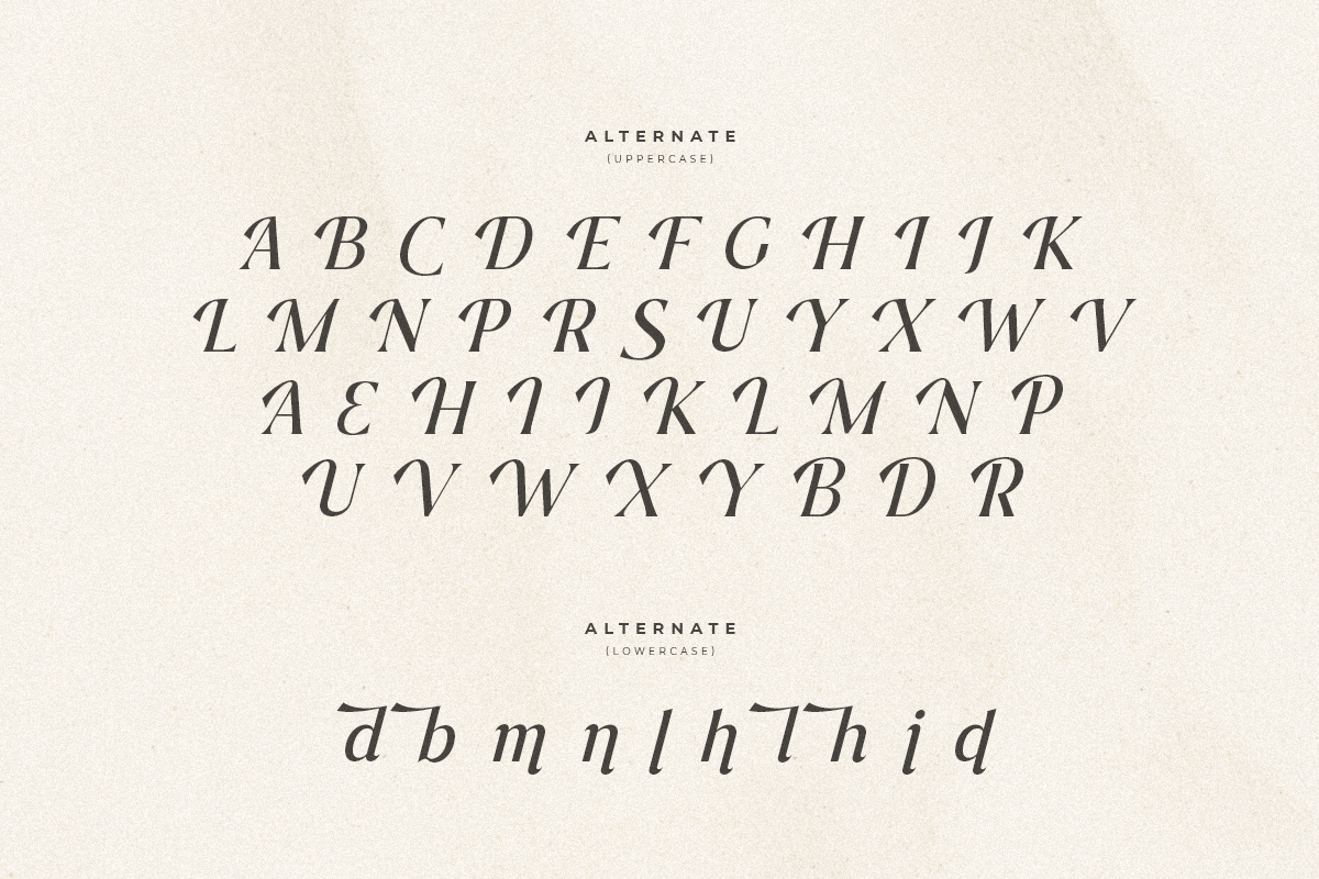 Journey – Aesthetic Serif Font, a Serif Font by Hamz Studio (Photo 8 of 20)