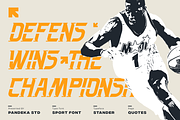 Stander - Sport Font, a Slab Serif Font by Pandeka Studio (Thumbnail 3 of 12)