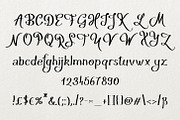 Hakyt, a Script Font by Digital Typeface Studio (Thumbnail 3 of 4)