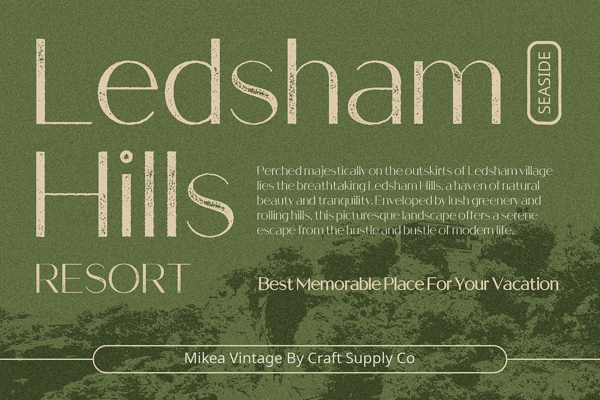 Mikea Vintage, a Sans Serif Font by Craft Supply Co. (Photo 5 of 8)