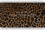 24 Animal Pattern Texture, a Background Graphic by NOMO DESIGN (Thumbnail 13 of 24)