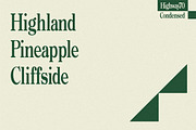 Highway 70 Condensed - Retro Serif, a Serif Font by Lateral Design (Thumbnail 9 of 17)