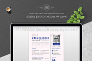 Sleek Corporate Resume Template, a Resume Template by ResumeInventor (Thumbnail 5 of 6)