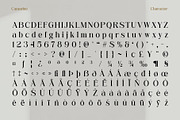 Camarine – Modern Serif, a Serif Font by Craft Supply Co. (Thumbnail 7 of 8)