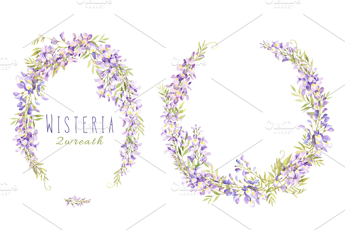Wisteria watercolor set, an Illustration by PS_patterns (Photo 3 of 4)