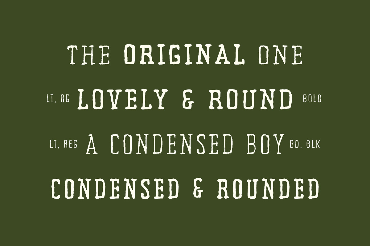 TC Tallow Pen Serif, a Handwritten Font by Tom Chalky (Photo 2 of 5)