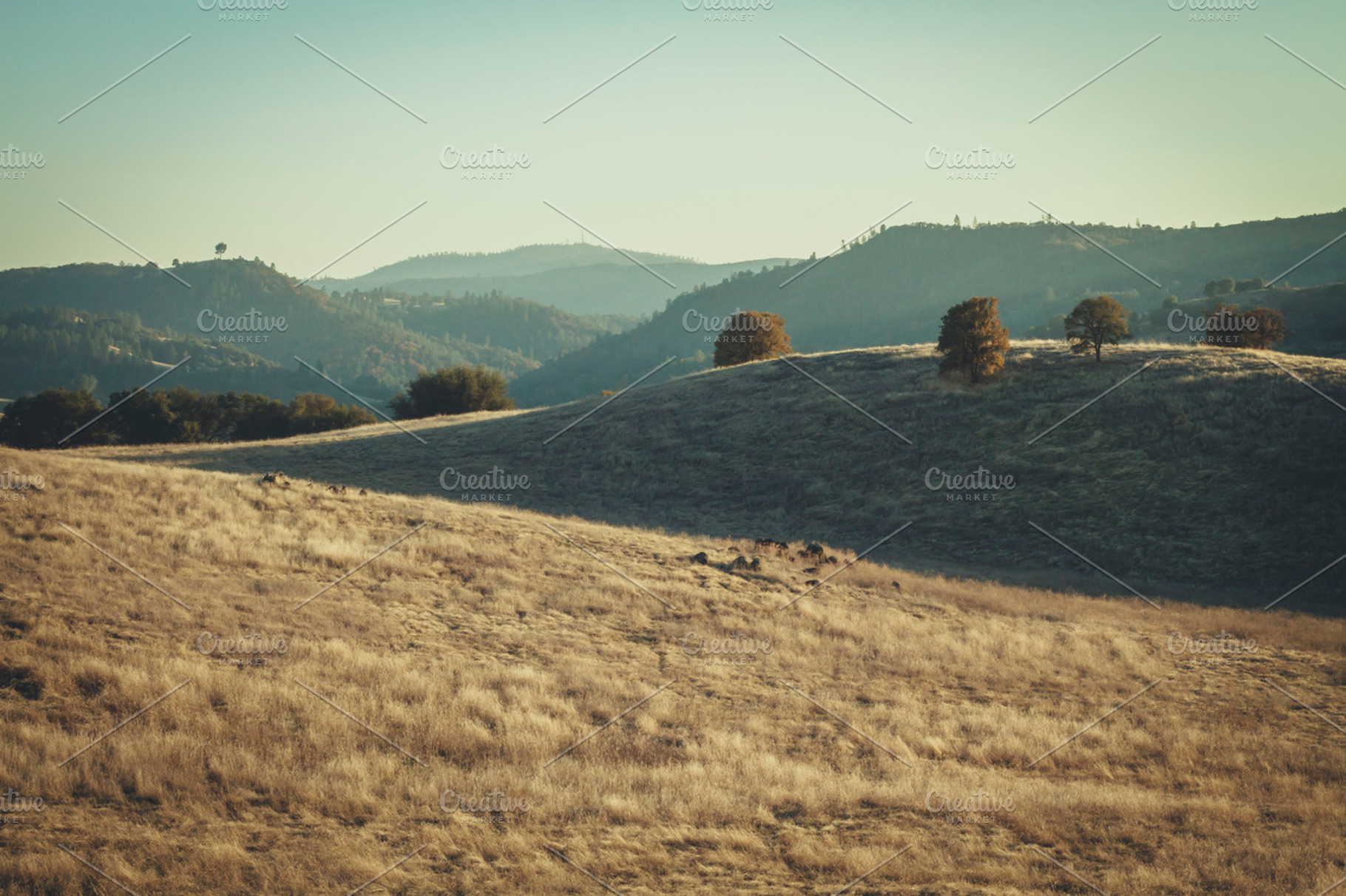 Cronan Ranch Trail 2 Featuring Hills California And Norcal