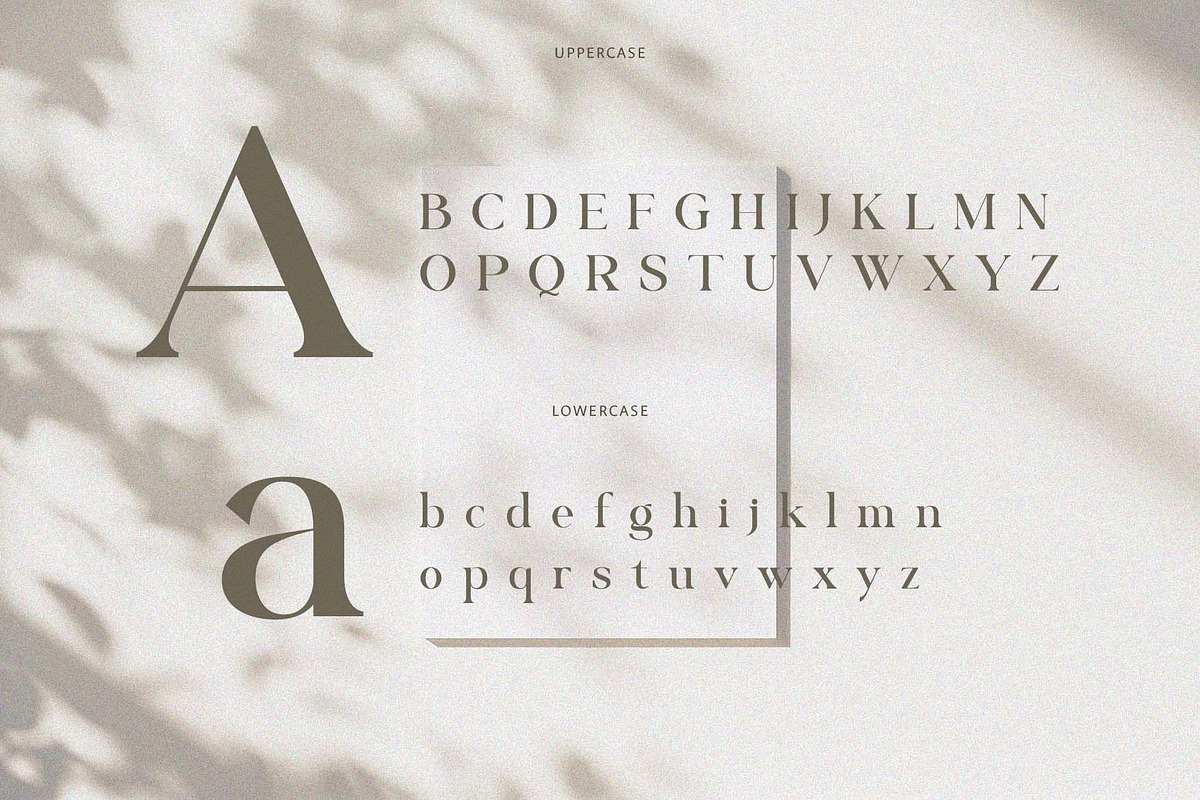 Galfika – Stylish Serif Font, a Serif Font by BrandSemut (Photo 8 of 8)