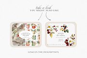 Watercolor Christmas Botanicals, a Decorative Illustration by ThaismotaCreativeCo (Thumbnail 10 of 11)