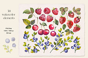 Berries, a Food Illustration by Jeanna Draw (Thumbnail 7 of 12)
