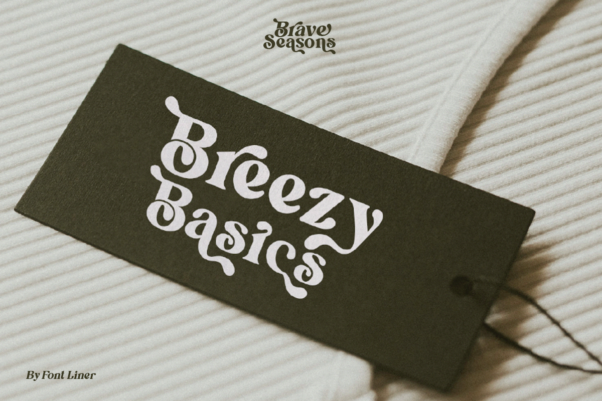 Brave Seasons - Modern Serif Font, a Serif Font by Font Liner (Photo 7 of 14)