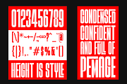 Pemage, a Sans Serif Font by Zafiratype (Thumbnail 13 of 15)