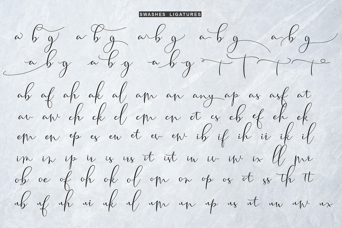 Tifany Script, a Script Font by Moly Mol (Photo 10 of 11)