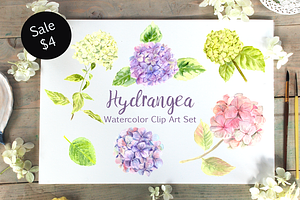 Watercolor Hydrangea Clip Art Set, an Illustration by Tati Bordiu