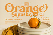 Dake Roile Elegant Serif Font, a Serif Font by Perfectype (Thumbnail 4 of 8)