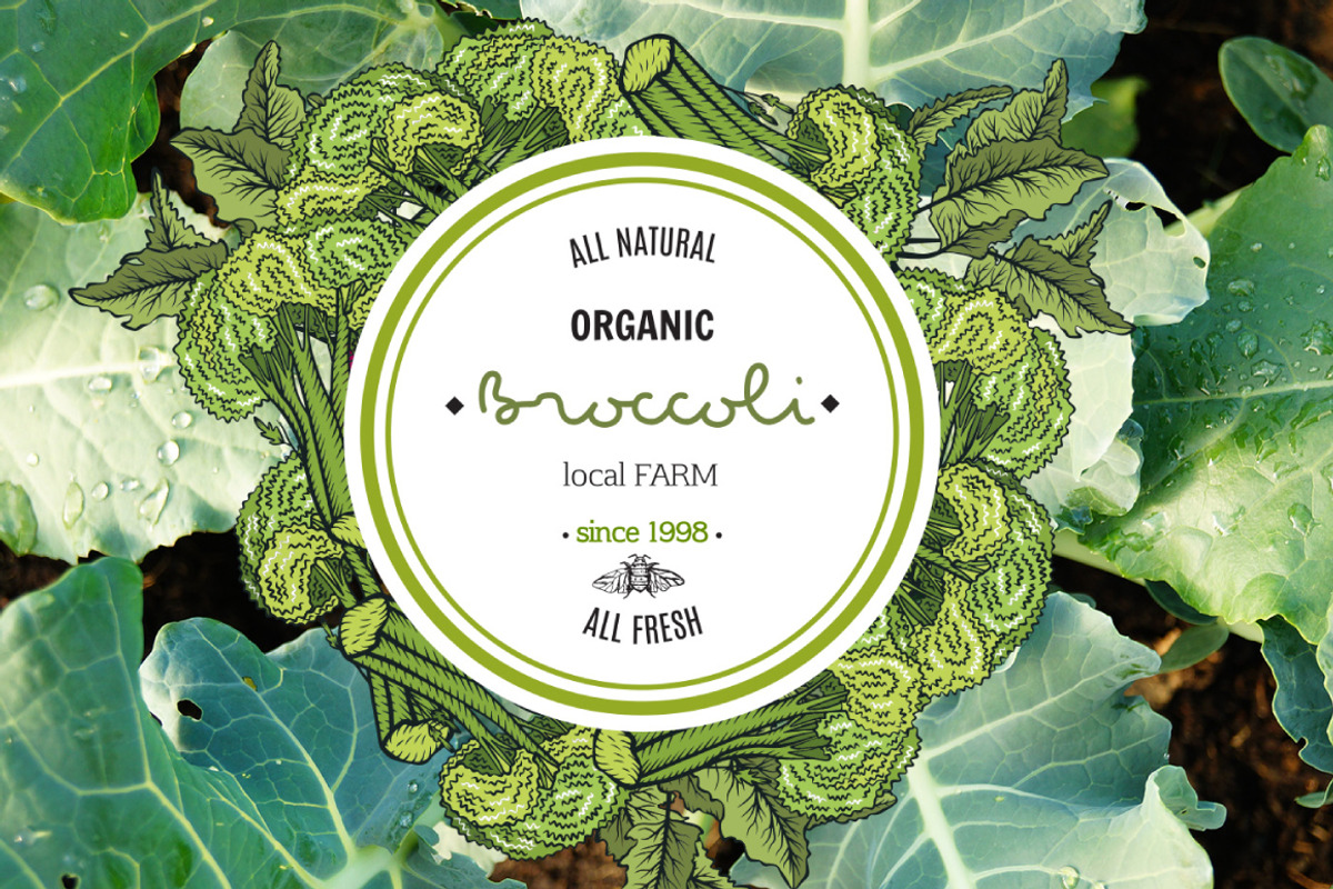 Vector vegetables, a Food Illustration by TashaDraw (Photo 7 of 13)