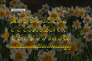 Rastiya Daffodil Handwritten Script, a Script Font by gracetype_studio (Thumbnail 10 of 11)
