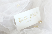 Glaston Romantic Calligraphy, a Script Font by Ef Studio (Thumbnail 7 of 13)