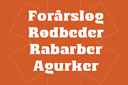 Lauge, a Sans Serif Font by Jan-Christian Bruun (Thumbnail 13 of 14)