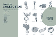 The Vegetables Collection, a Food Illustration by dicreate (Thumbnail 2 of 14)
