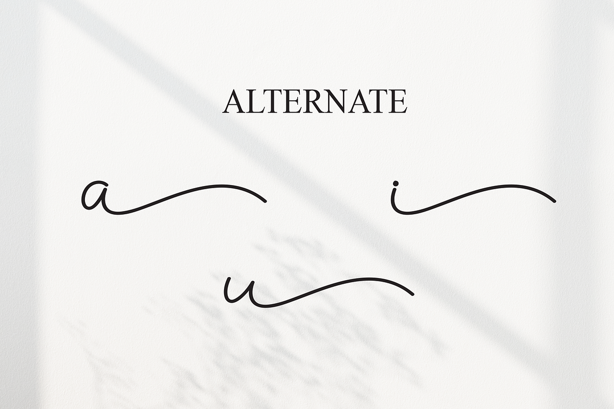 Samantha | Script Font, a Handwritten Font by Scratchones (Photo 8 of 9)