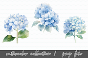 Hydrangea Flowers Watercolor Clipart, an Illustration by SindyPrintDesign (Thumbnail 3 of 4)