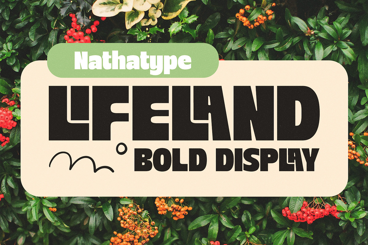 Lifeland, a Symbol Font by Nathatype (Photo 1 of 11)