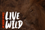 Maddox, a Font by Weape Studio (Thumbnail 5 of 8)