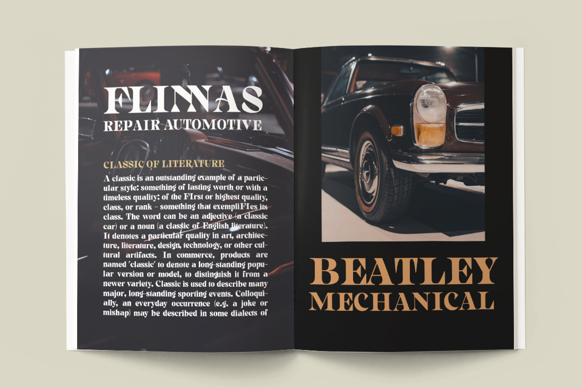Gimela, a Serif Font by Gatype (Photo 2 of 10)