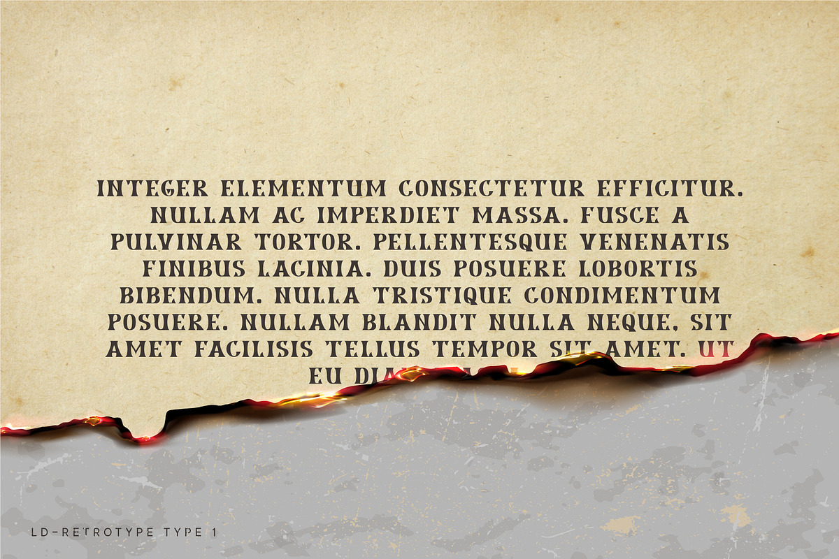 Retrotype. Western Serif font family, a Serif Font by Luxfont (Photo 9 of 9)