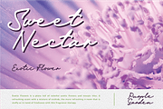 Almefia, a Script Font by kerismaker (Thumbnail 7 of 12)
