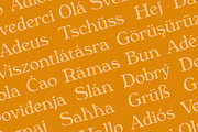 Phaedra // A Retro Serif Typeface, a Serif Font by Megs Lang (Thumbnail 12 of 17)