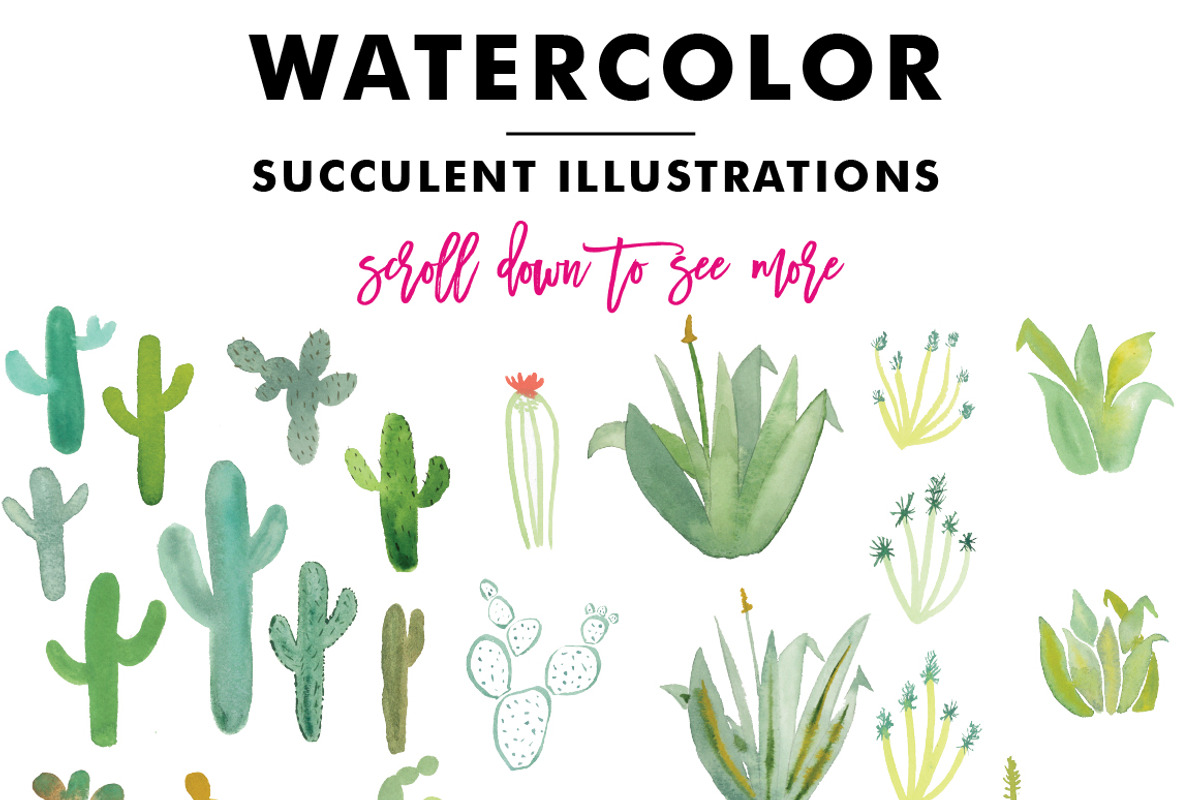 Watercolor Succulents and Cactus, an Illustration by Erika Firm (Photo 2 of 5)