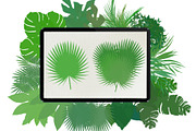 Palm leaves brushes for Procreate, a Brush Add-On by AnastasiyaOleynik (Thumbnail 8 of 12)