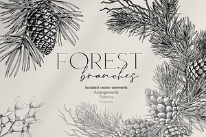 Forest branches, an Object Illustration by Jeanna Draw
